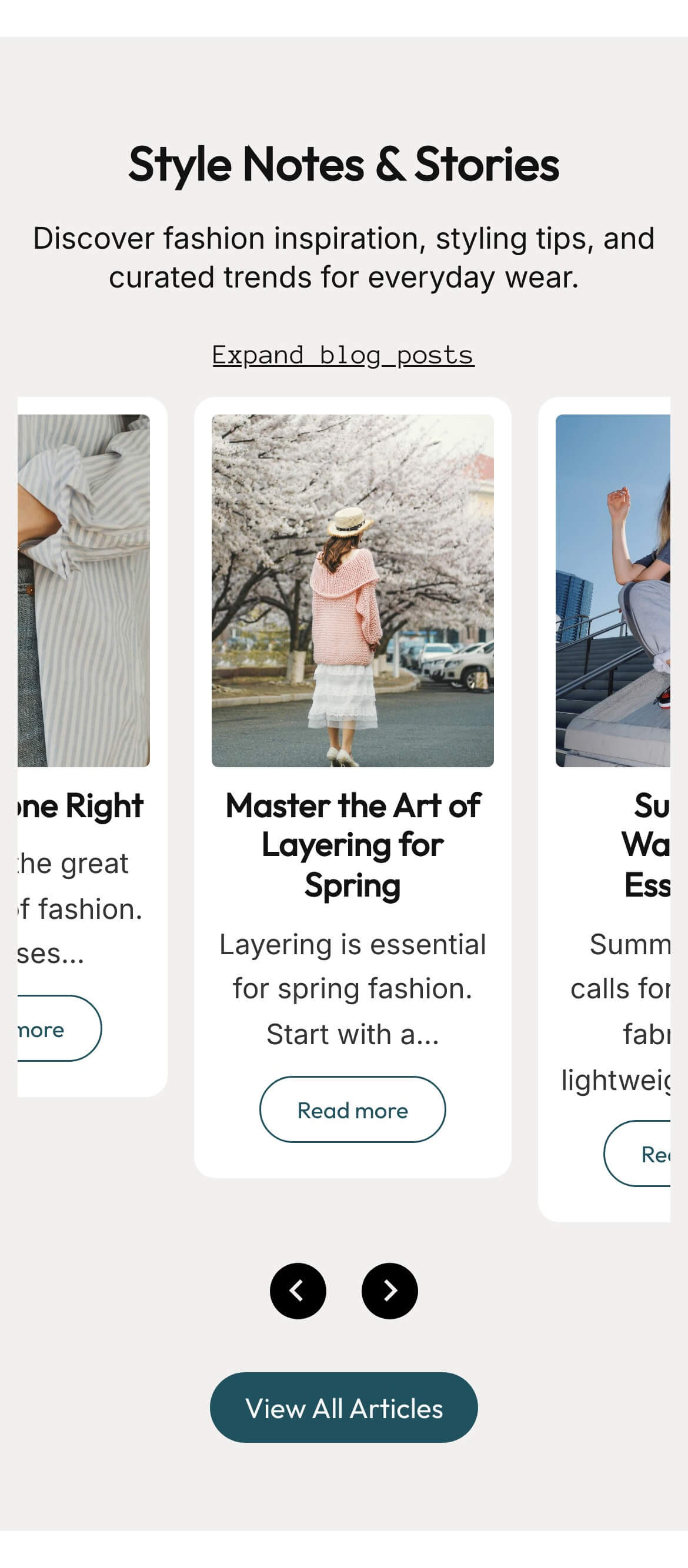 Blog Posts preview 3