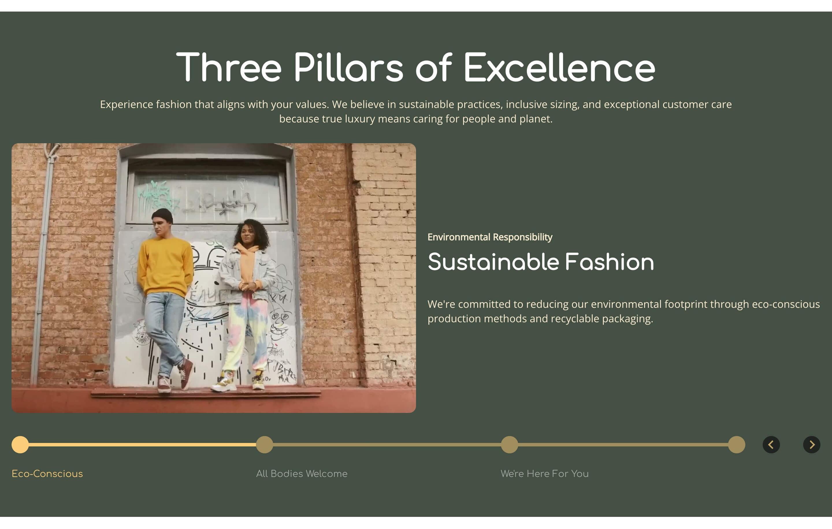 Features Slider preview 3