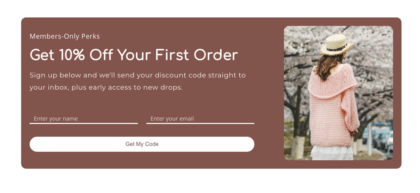 Newsletter Signup preview 2