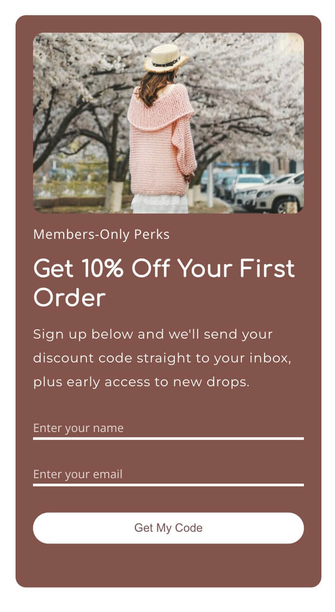 Newsletter Signup preview 4