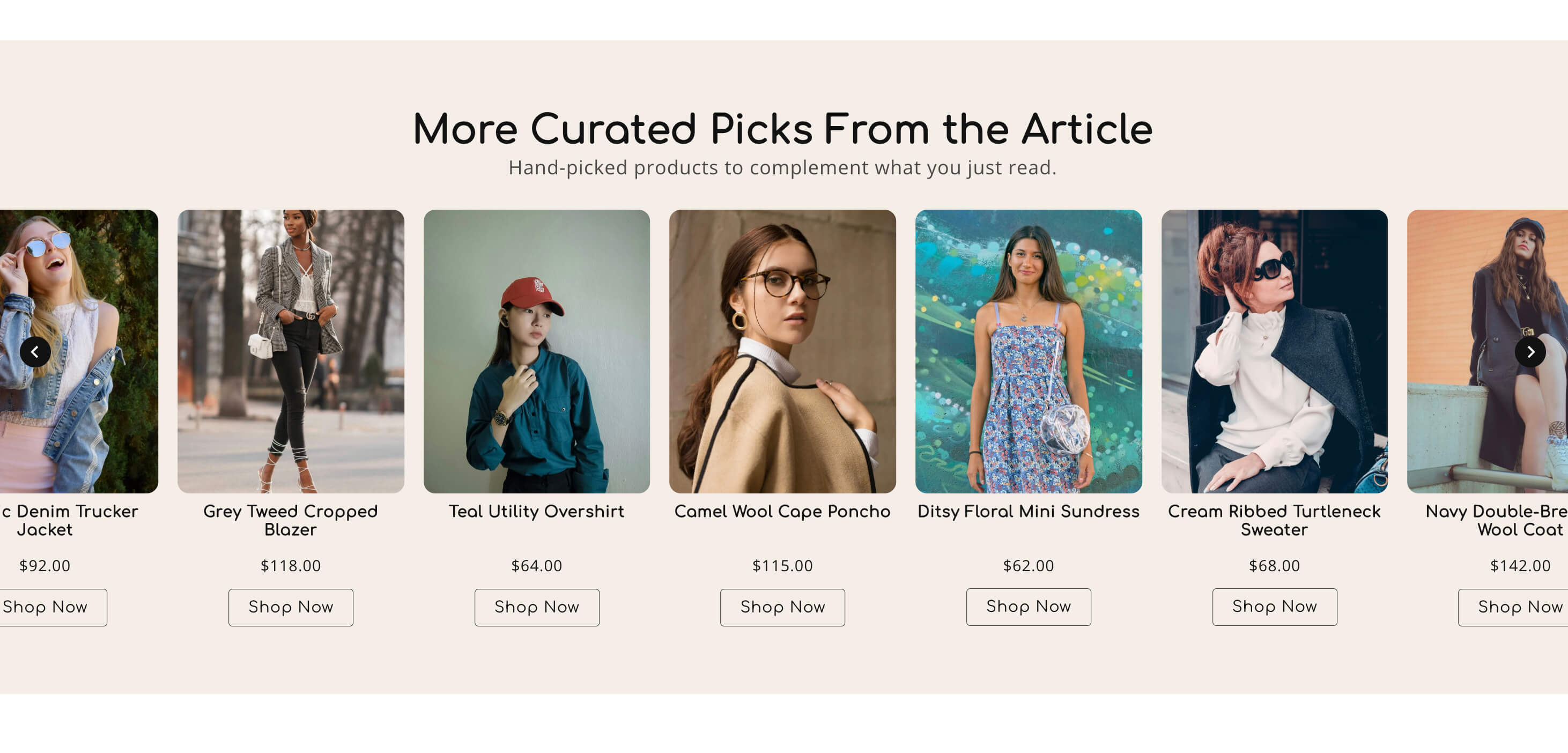 Shop The Article preview 4