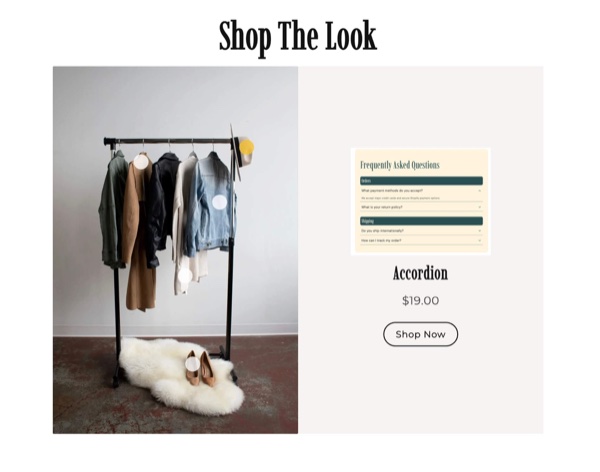Shop The Look