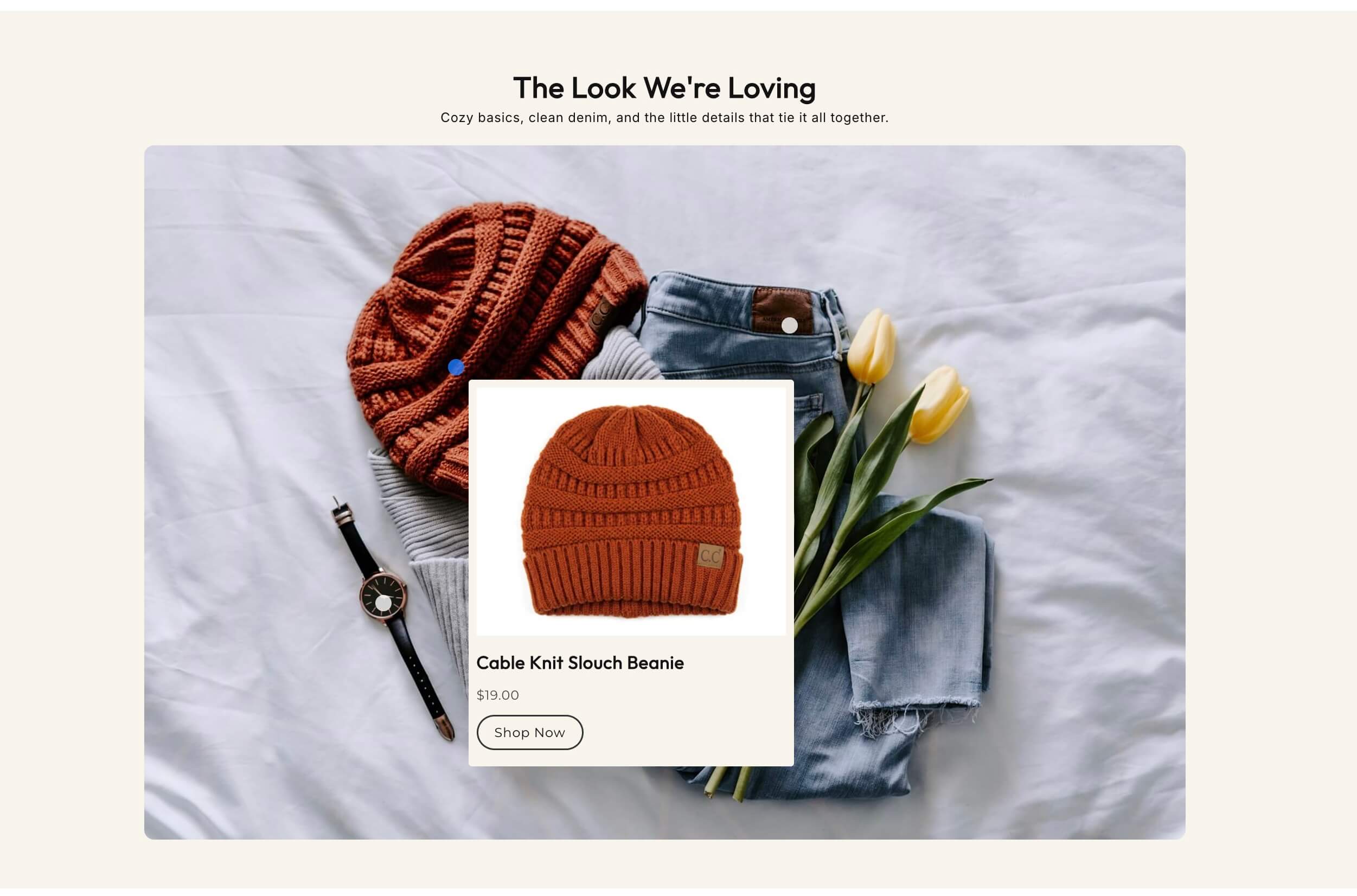 Shop The Look On Hover preview 2